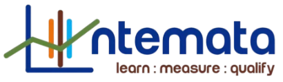 Intemata logo